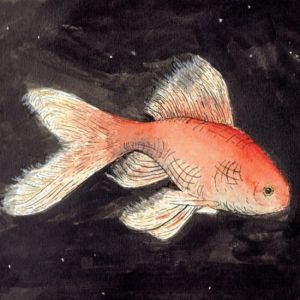 Avatar image for Emily Moore, a goldfish