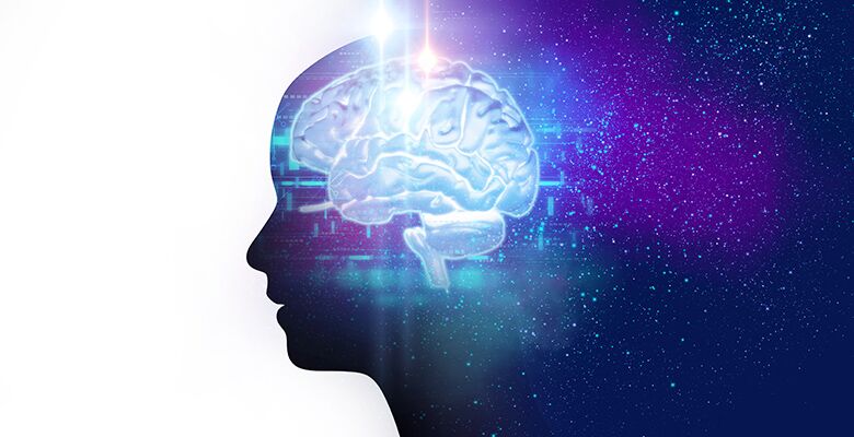 Quinnsights: Learning Science for Leaders