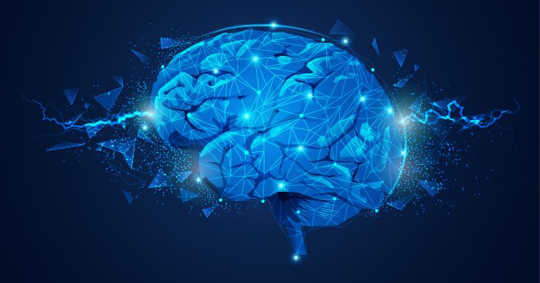 Quinnsights: Changing Nature and Unchanging Brains