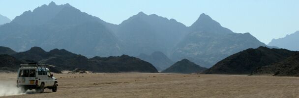 “We’re Lost, But We’re Making Good Time”: Performance Support to the Rescue