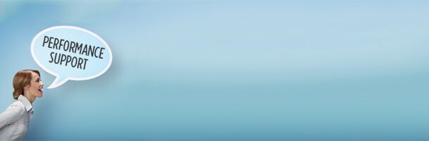 Train, Empower, Achieve: New Thoughts in Performance Support