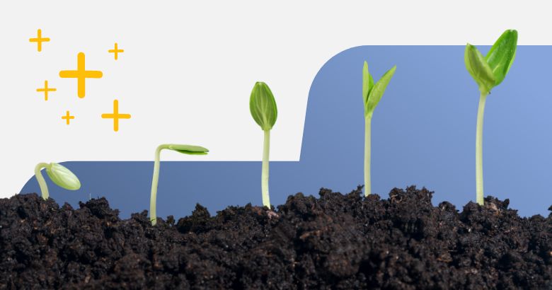 Professional Development