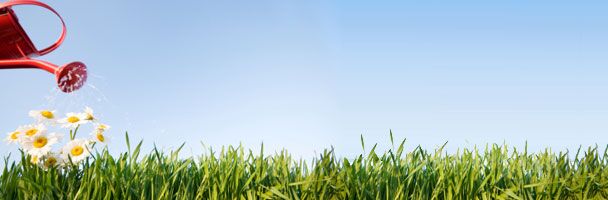 5 Tips for Knowledge Gardeners: How to Grow a Collaborative Learning Community