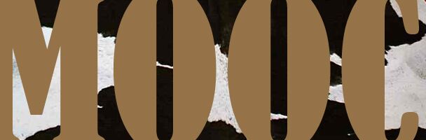 Explore a New Learning Frontier: MOOCs