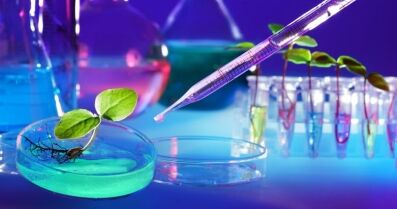 Cultivate a Learning Culture for Better Business Performance