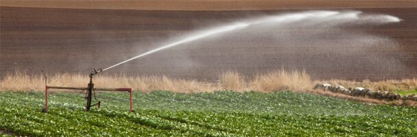 Performance Support Infrastructure: Get the Water to the End of the Row