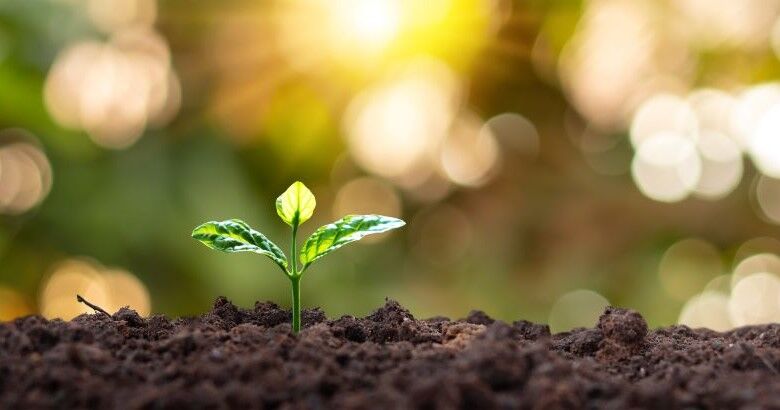 Cultivating Creativity as an L&D Professional